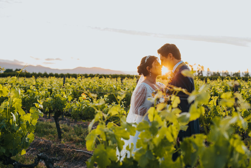 Celebración de matrimonio en los jardines de Viña La Playa