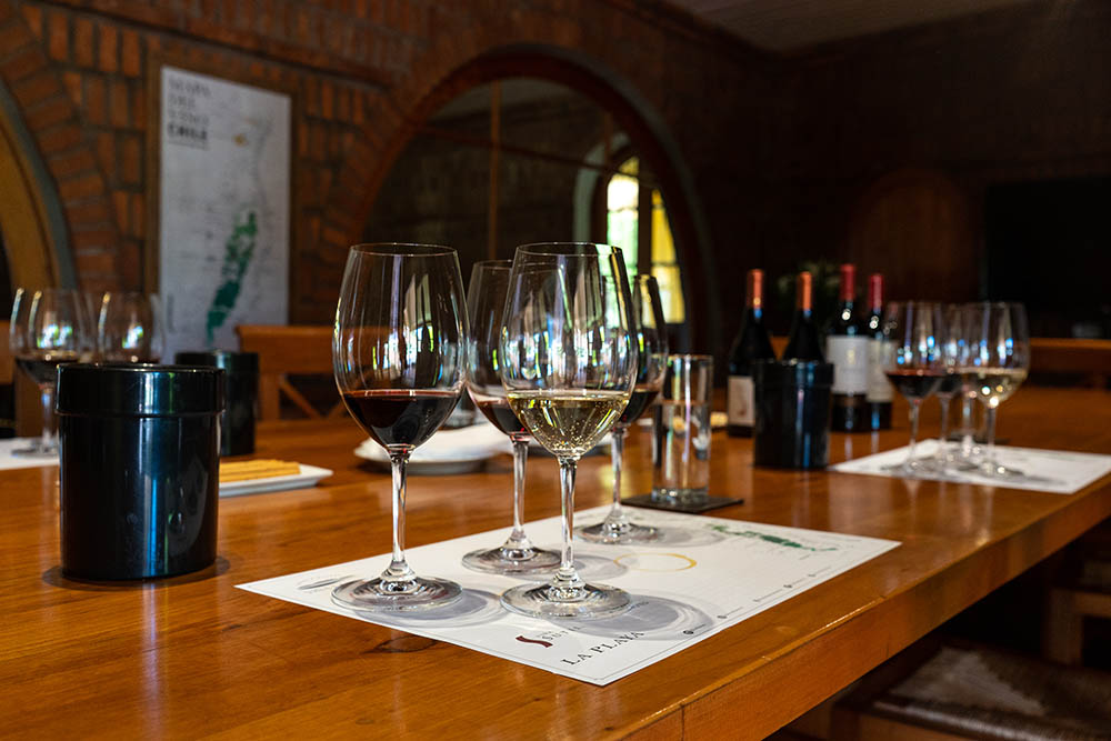 Cava familiar y degustación de etiquetas emblemáticas
