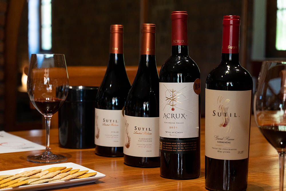 Tour privado con almuerzo de maridaje entre viñedos