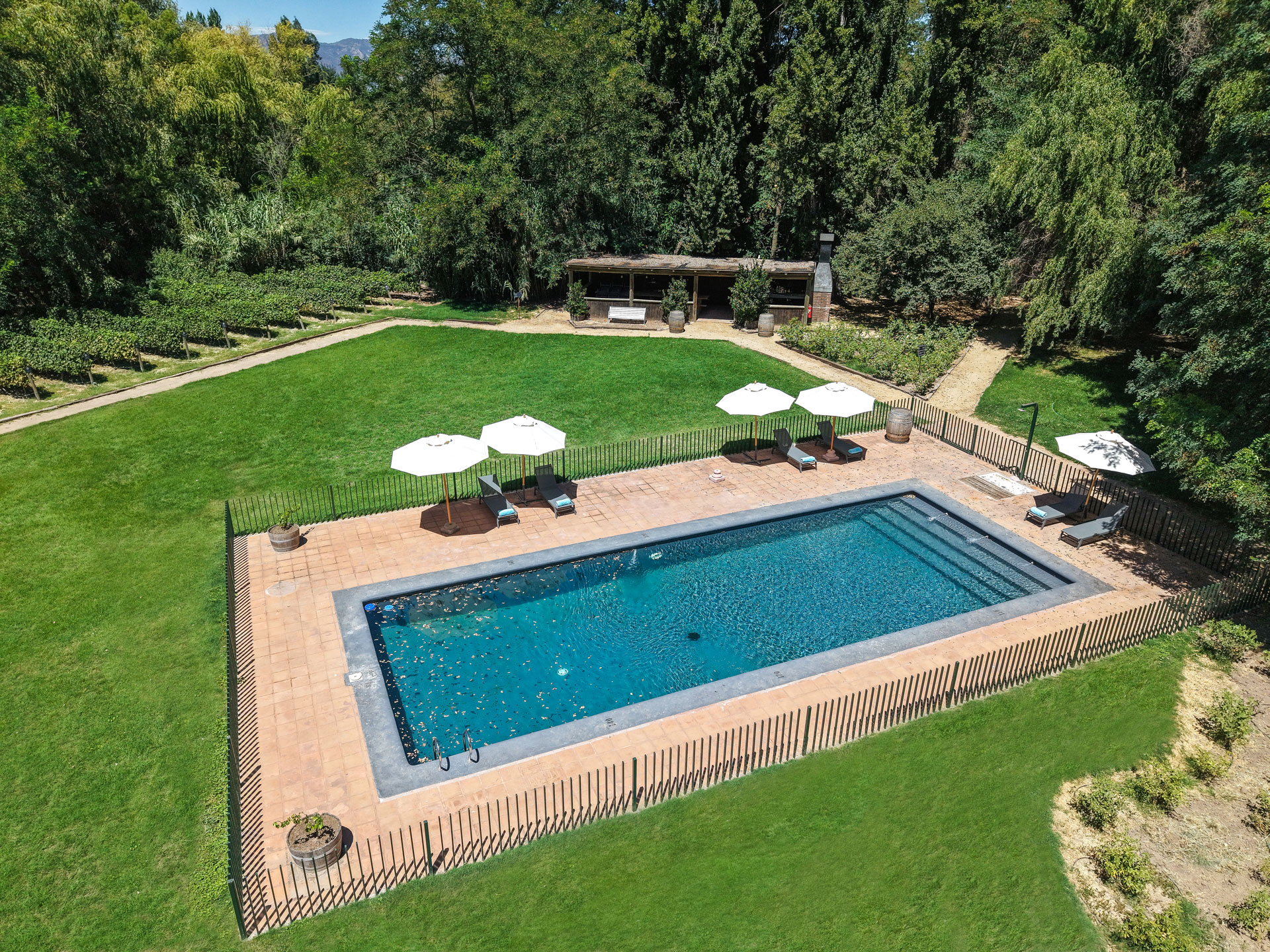 Piscina exterior rodeada por los jardines del hotel