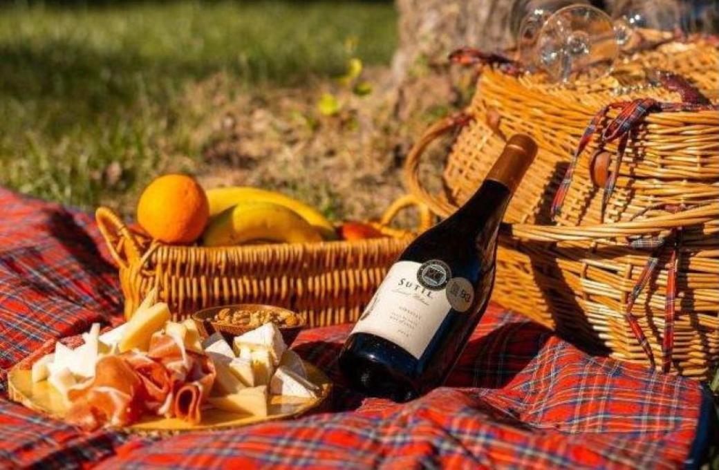 Tour privado con almuerzo de maridaje entre viñedos